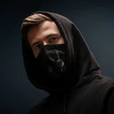 Alan Walker Quiz - Guess the Song Game