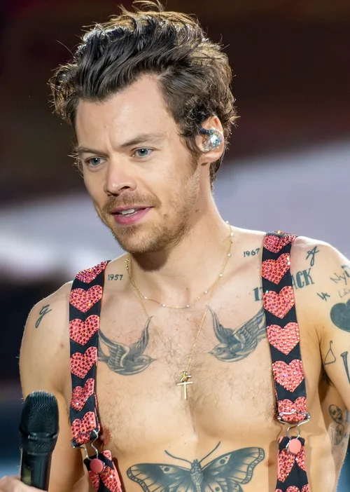 Harry Styles portrait