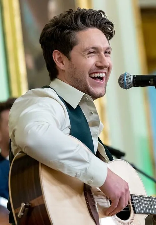 Niall Horan portrait