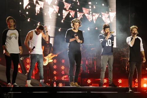 One Direction portrait