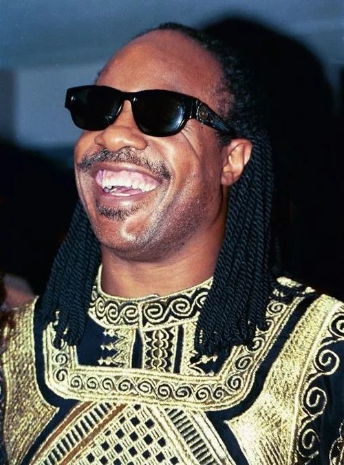 Stevie Wonder portrait