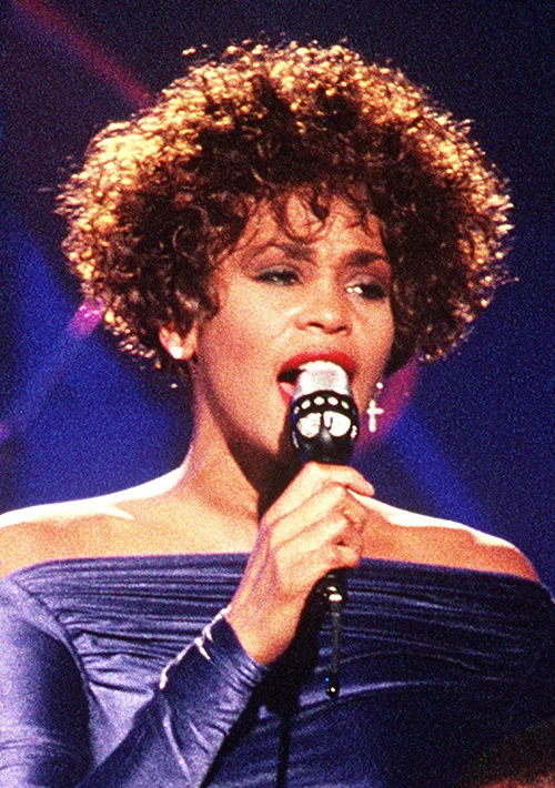 Whitney Houston portrait